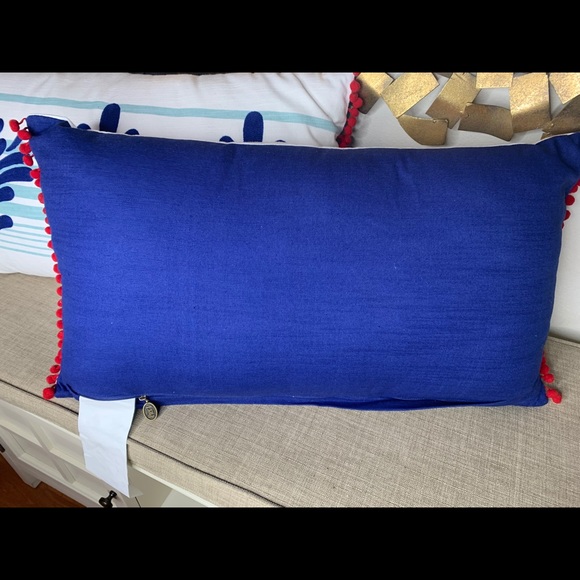 Pier One Imports Set Of 2 Decorative Throw Pillows - Picture 3 of 3